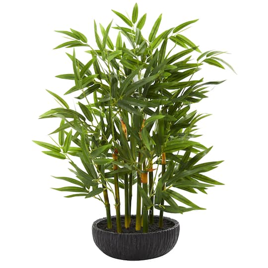Michaels, 20" Potted Bamboo Tree – Category: Potted Plants